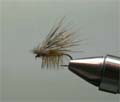 mucha The Elk Hair Caddis